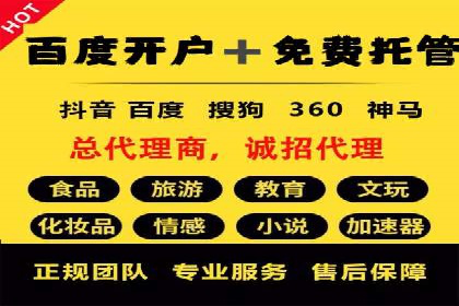 SEM服务案例：提升网站流量